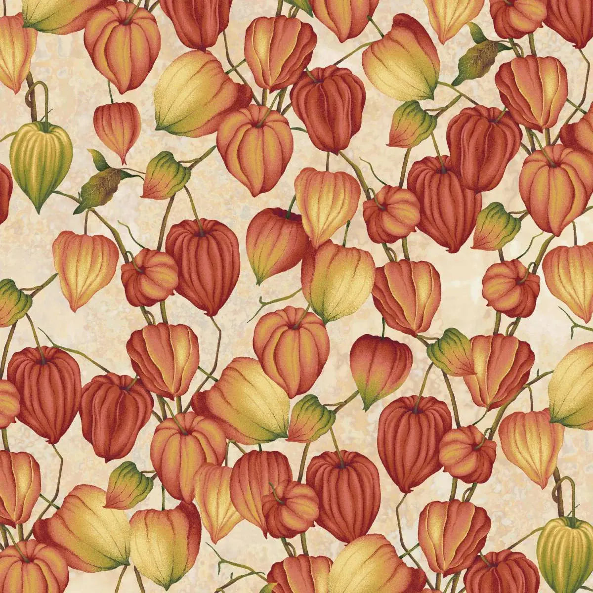 Chinese Lanterns Cream - Oak and Berries Q-3650-44