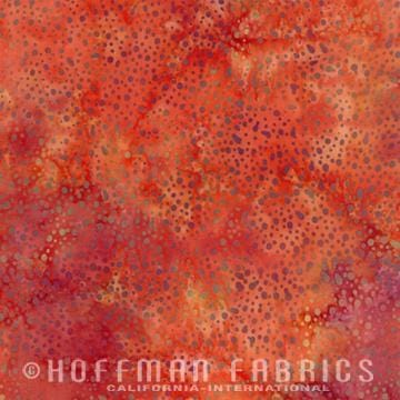 Autumn HOF885-66