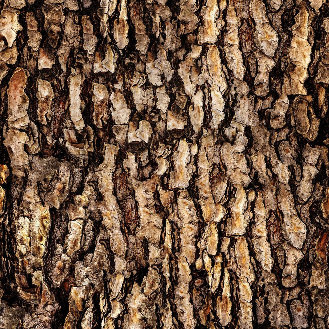 Nature's Narrative - Bark R4671H-407