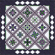 Precut! Runaway Delight Block of the Month - Begins August 2025 P-RUNAWY-AUG25
