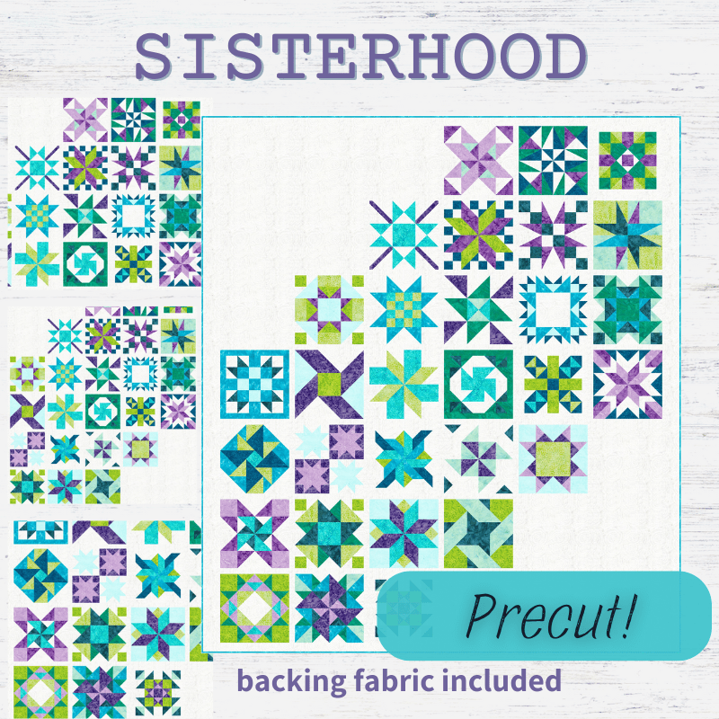 Precut! Sisterhood Block of the Month - Begins June 2025 P-SISTERHD-JUN25