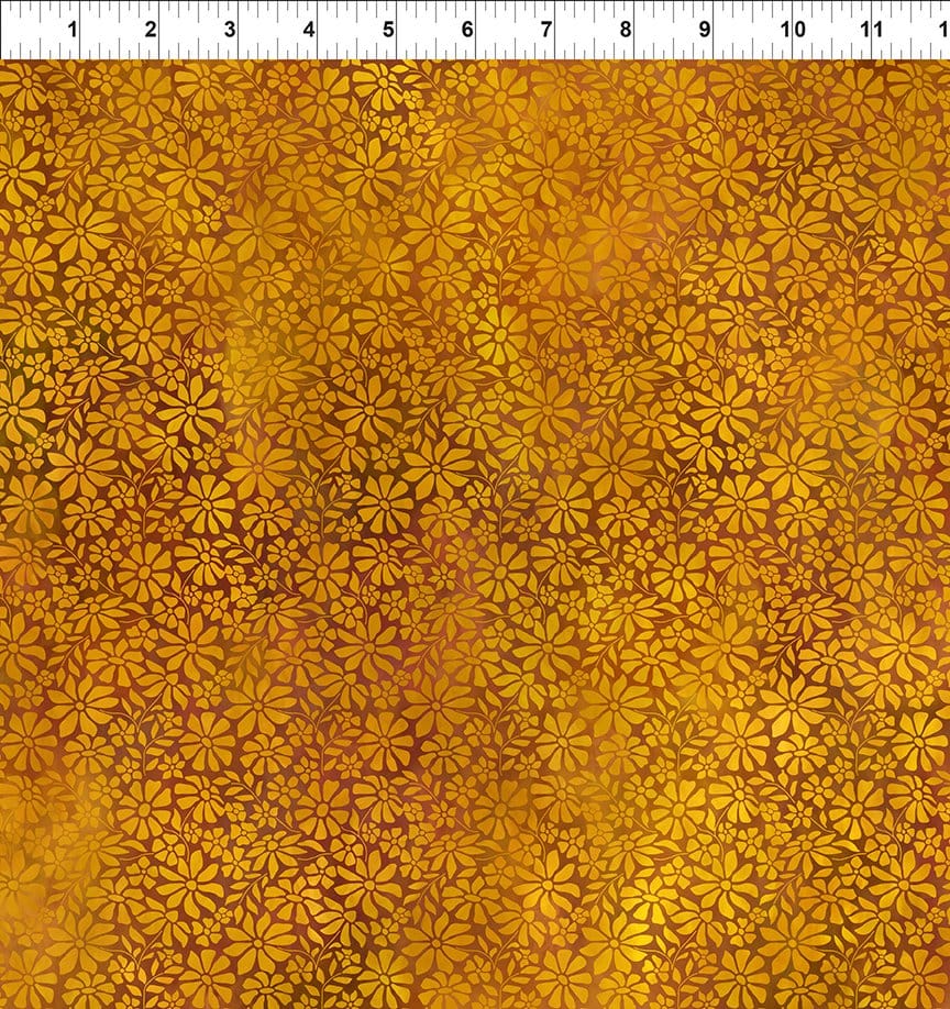Gold Field - Dear Clara 11DCL-1
