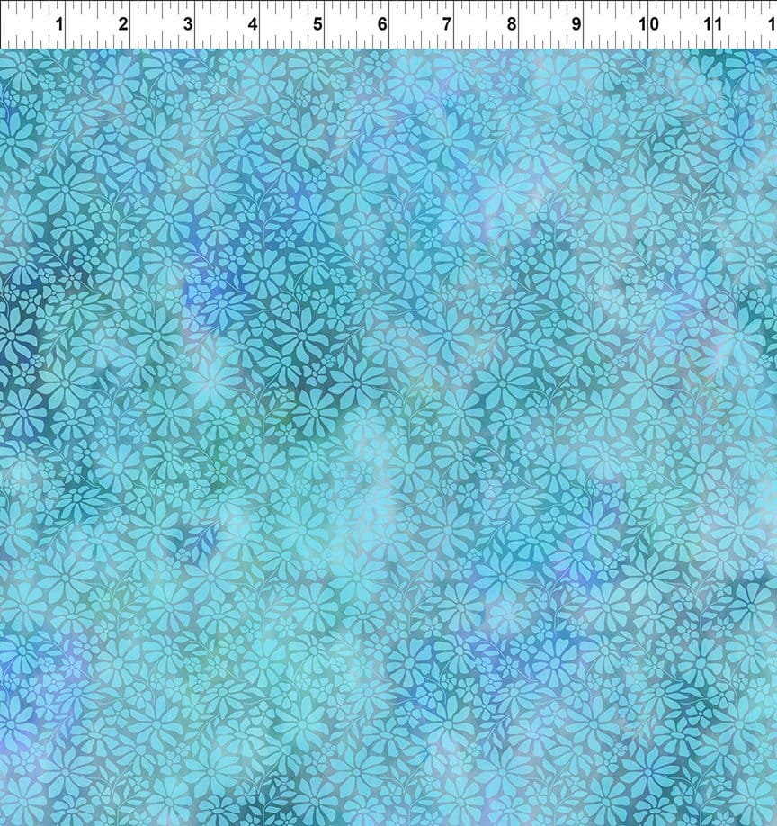 Sky Field - Dear Clara 11DCL-2