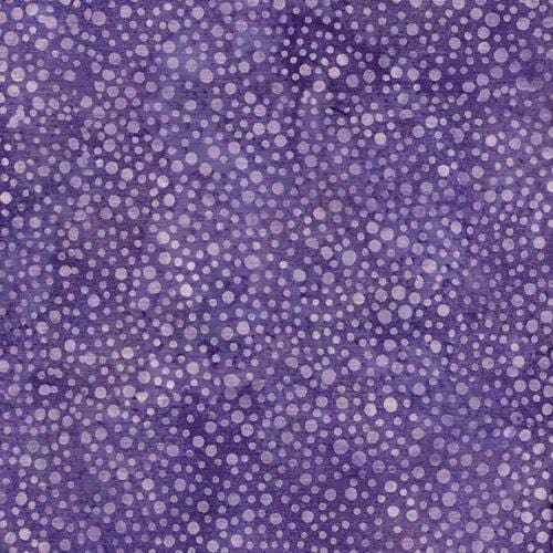 English Lavender - Dot Purple Foxglove 112336410