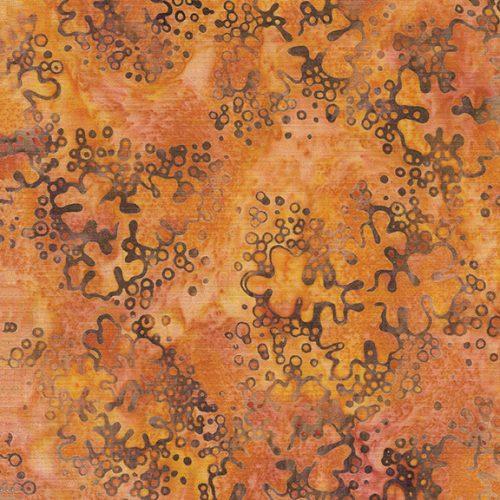 Forest Flora - Lichen Sunset 622404810