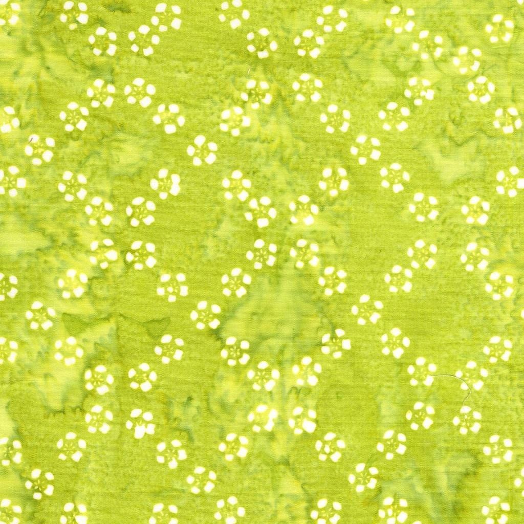 Frosted Foliage - Floral Chain Green Seedling 912502625