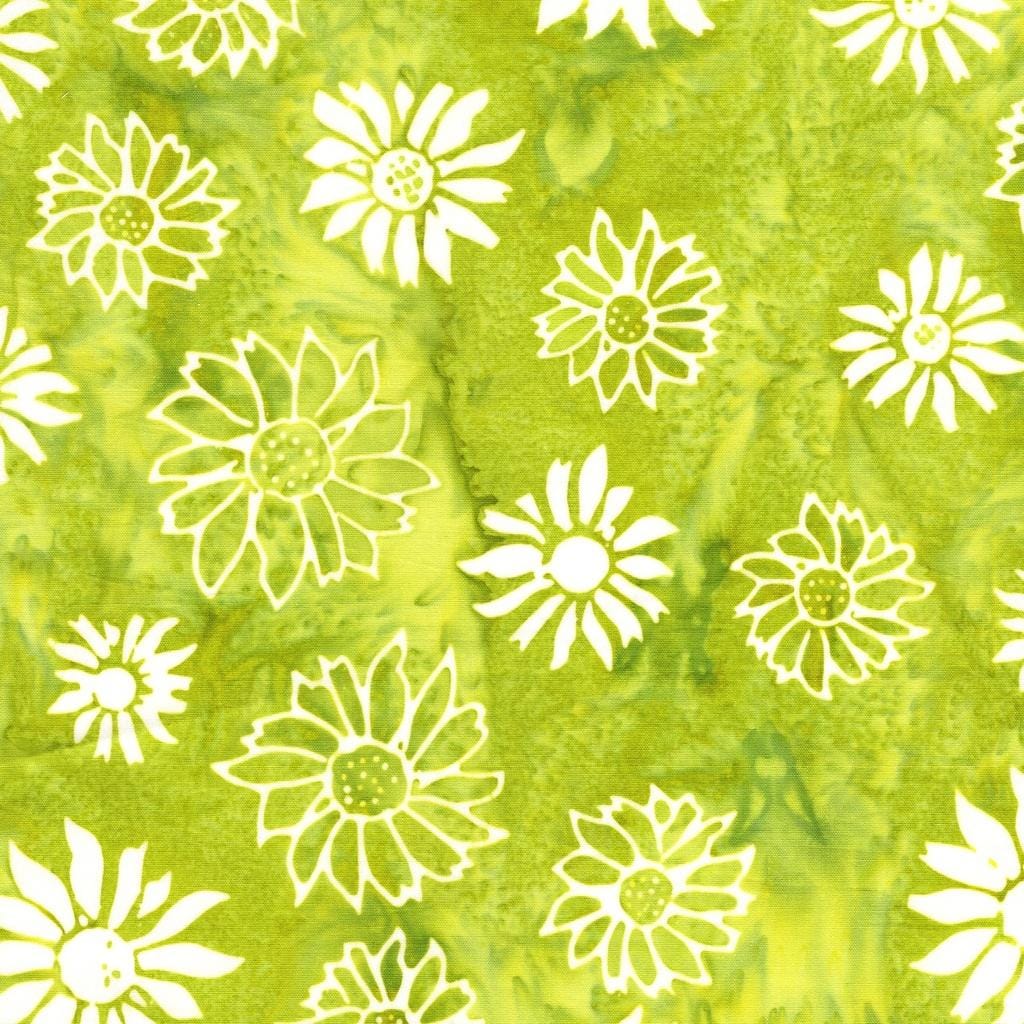 Frosted Foliage - Flower Heads Green Seedling 912503625