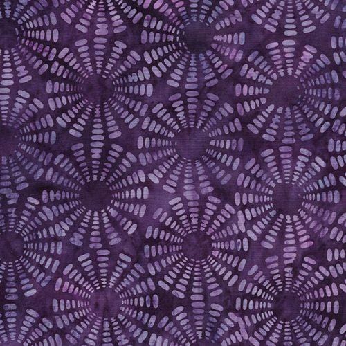 Heavy Metal - Sonic Purple Hyacinth 122318460
