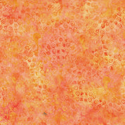 Peacock Fanning Orange Marmalade - Feather & Flair 112652256