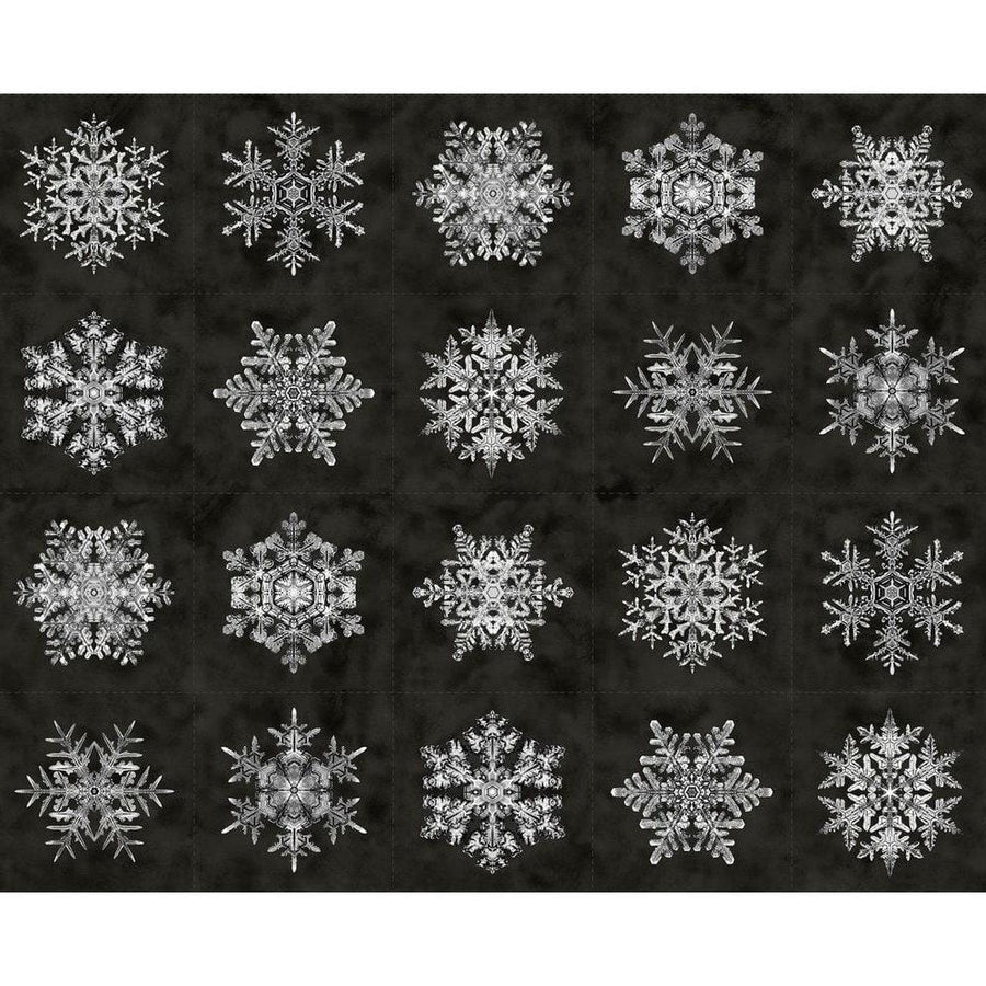 Bentley's Snowflakes - Snowflakes Charcoal R650952D-CHARCOAL