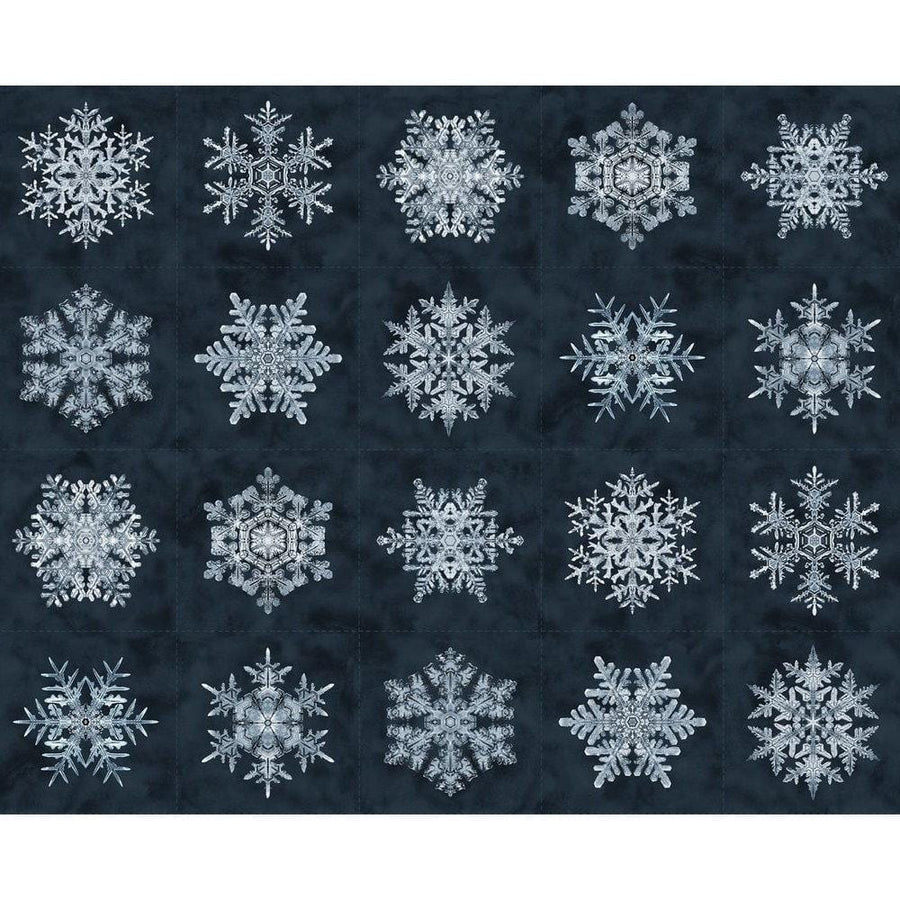 Bentley's Snowflakes - Snowflakes Navy R650952D-NAVY