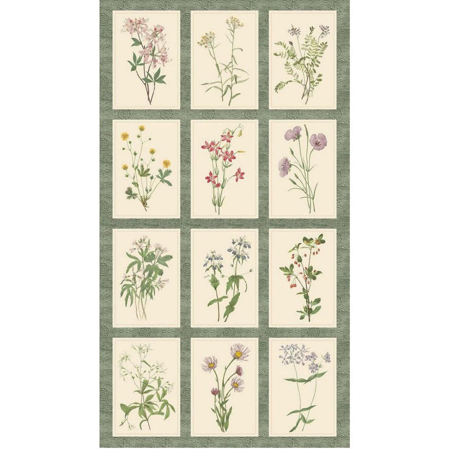 Botanical Journal - 24in Botanical Prints Panel R650862P-MULTI