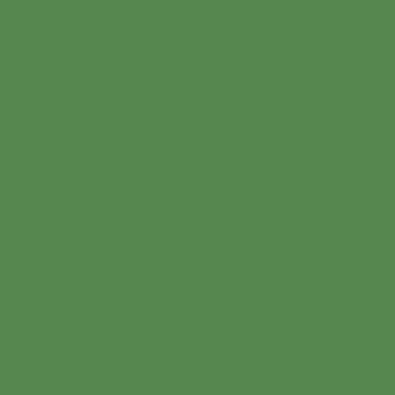 Centennial Solids - Fern C835901-FERN