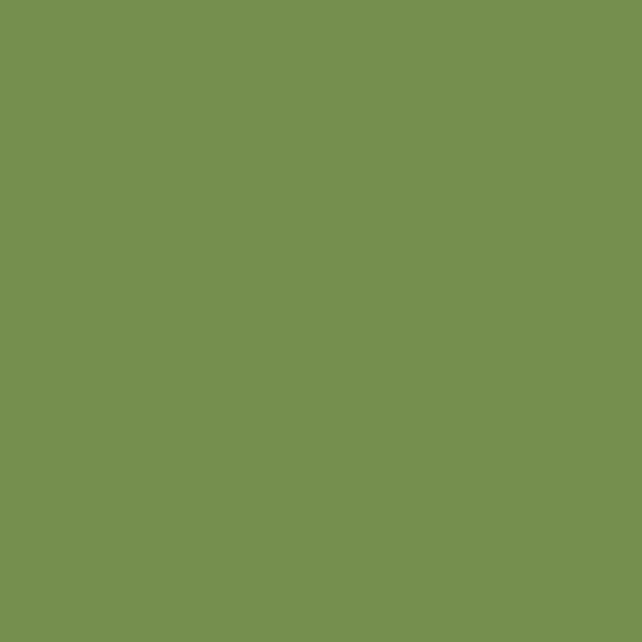 Centennial Solids - Moss C835901-MOSS