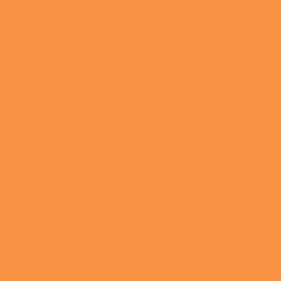 Centennial Solids - Orange C835901-ORANGE