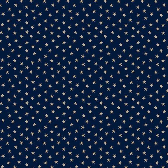 Indigo SchoolHouse - Stars Navy R221700D-NAVY