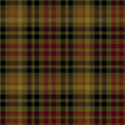 Primo Plaids Olive - Rich & Rustic PP091967-OLIVE