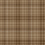 Primo Plaids Tan - Soft & Subtle PP091967-TAN
