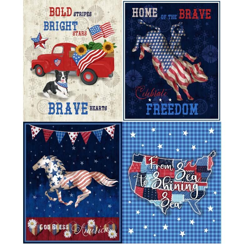 All American - One Nation CS10932-MULT-D