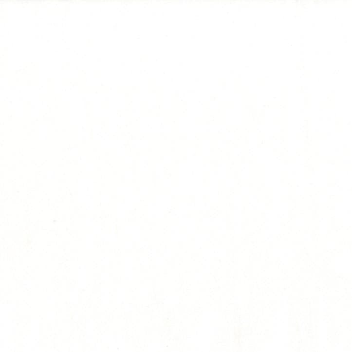 Michael Miller - Cotton Couture - Bright White SC5333-BWHT-D