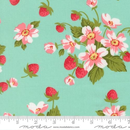 Aqua - Bloomsberry 55350-13