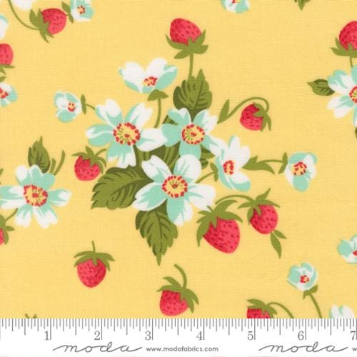 Buttermilk - Bloomsberry 55350-12