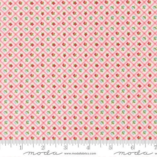 Checks and Plaids Flower Blush - Bloomsberry 55358-11