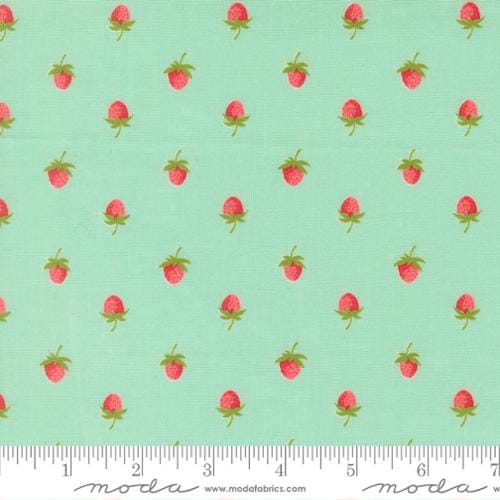 Novelty Strawberries Aqua - Bloomsberry 55352-13