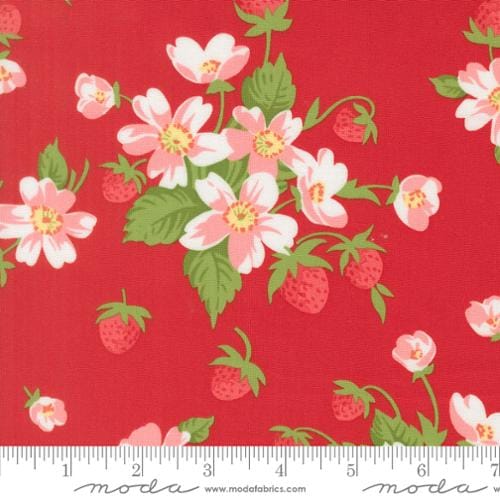 Red - Bloomsberry 55350-18