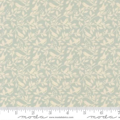Robins Egg Aqua - True Love 5264-14