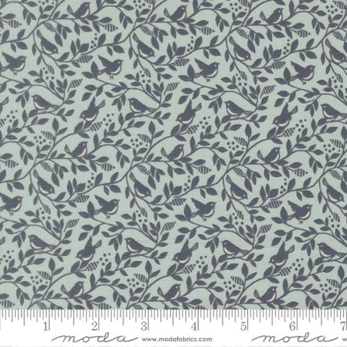 Robins Egg Floral - True Love 5264-24
