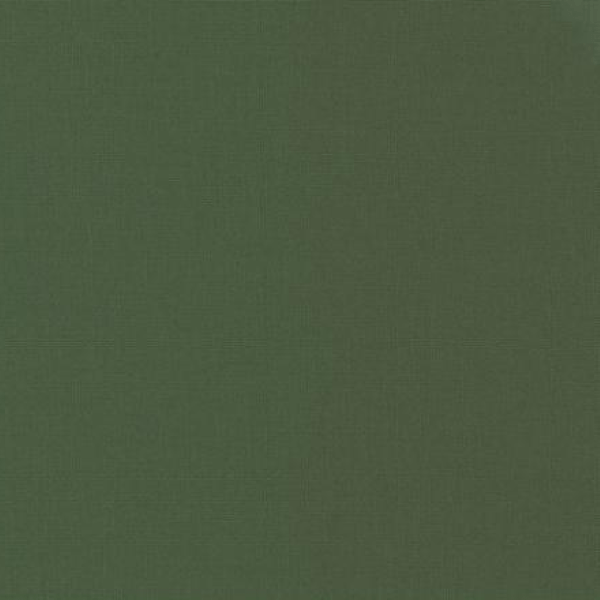 Bella Solids - Kansas Green MDA9900-149