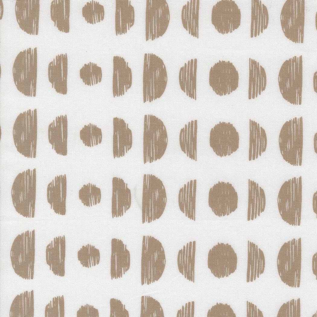 Botany - Phases Earth 11553-13