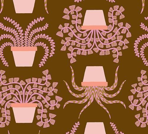 Calathea - Brown Pots RS5182-12
