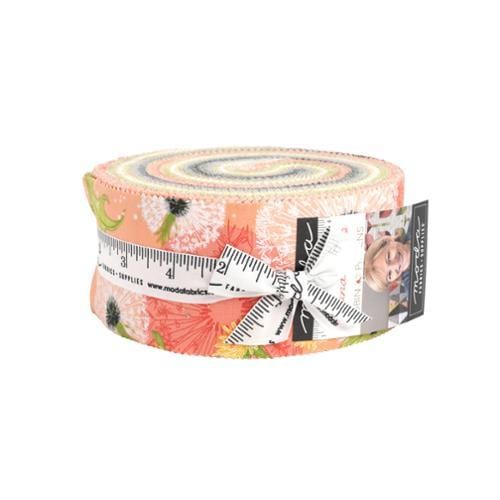 Dandi Duo - Jelly Roll 40 pcs Assorted 48750JR