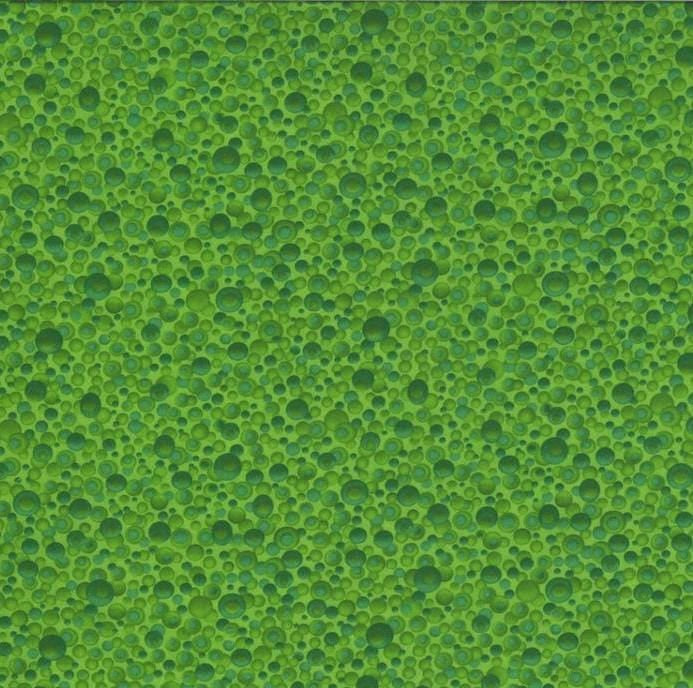 Dreamscrapes- Leaf 51246-14D