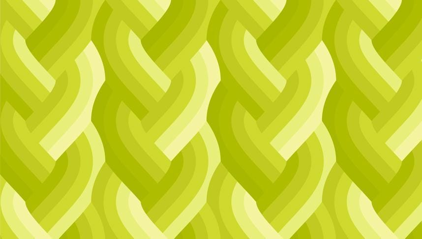 Echo - Braid Acid Green 42380-23