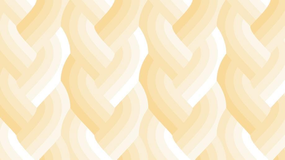 Echo - Braid Ivory 42380-12