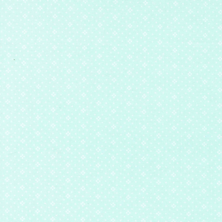 Eyelet - Aqua 20488-79