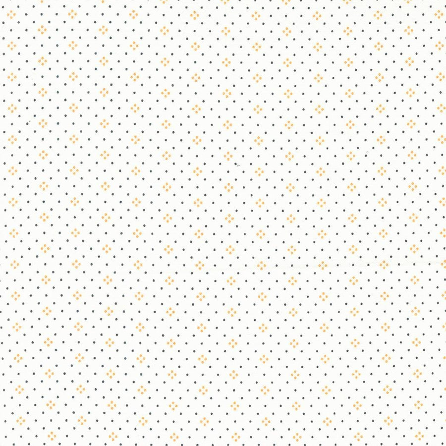 Eyelet - Ivory Pumpkin 20488-87