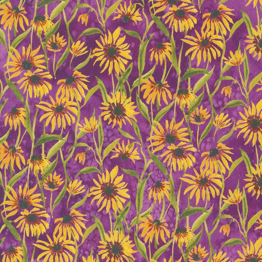 Floribunda - Blackeyed Suzie Q Florals Violet 39805-13