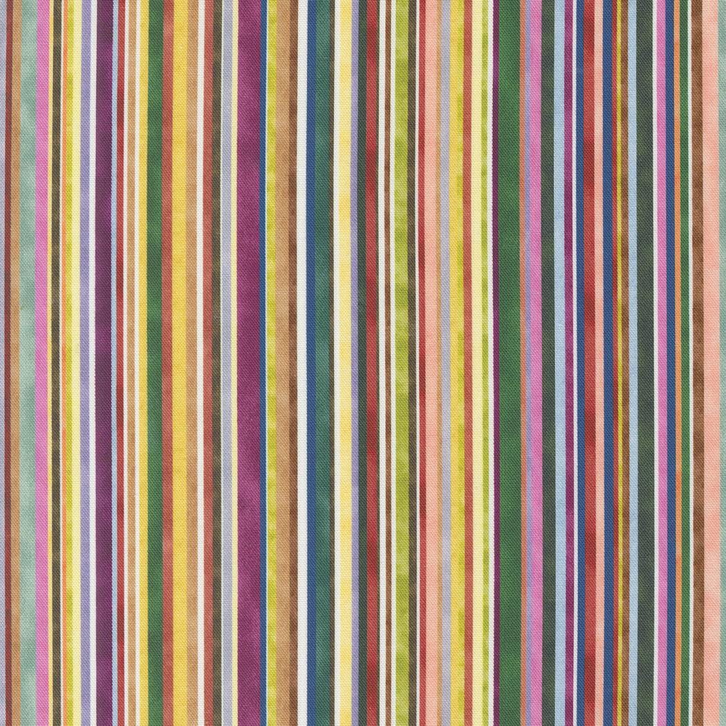 Floribunda - Jive Stripes Rainbow 39811-11