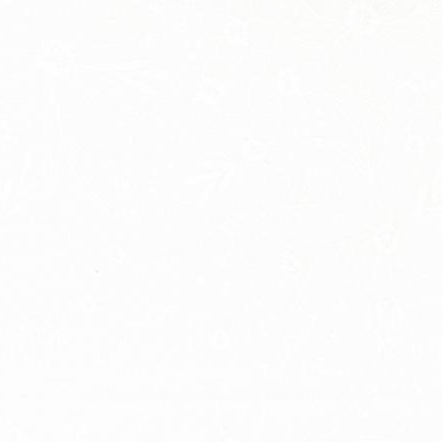 Gilded - Florals Paper White 11531-13