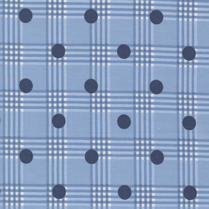 Isabella - Polka Dot Checks Sky Blue 14945-14