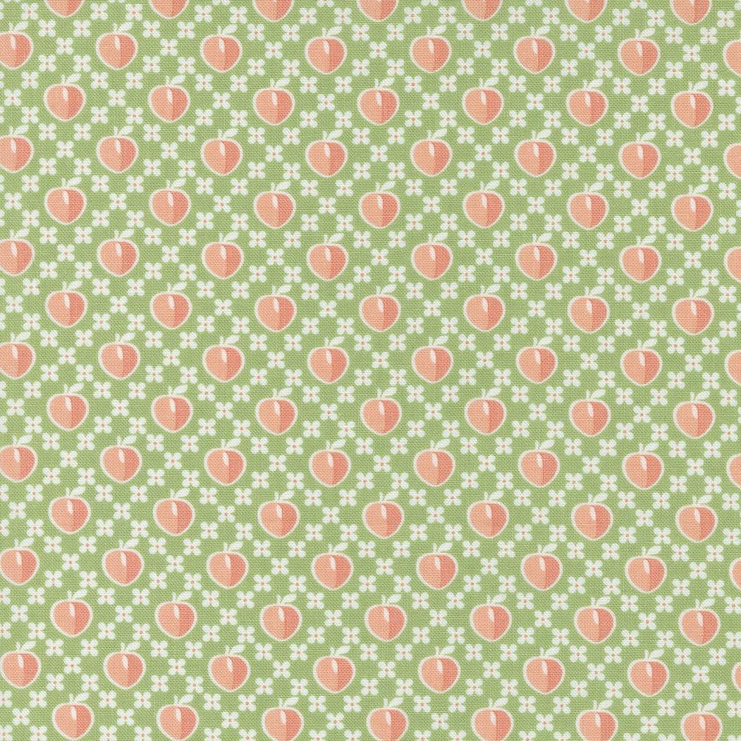 Peachy Keen - Peaches Fern 29171-13