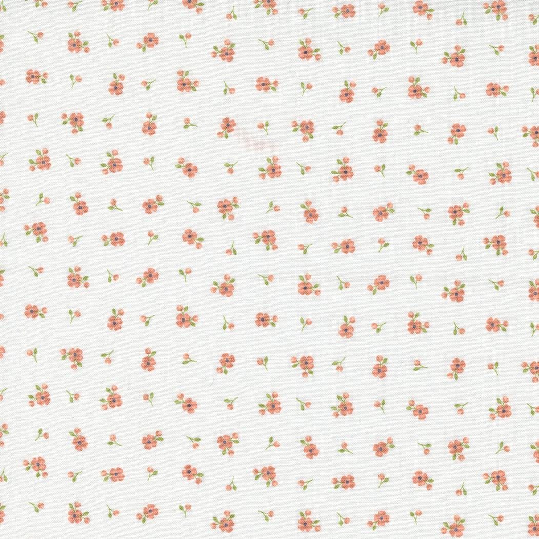 Peachy Keen - Pixie Ditsy Off White 29175-11