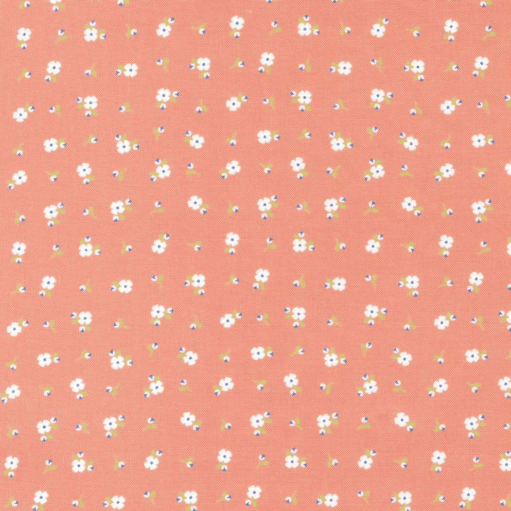 Peachy Keen - Pixie Ditsy Peach 29175-19