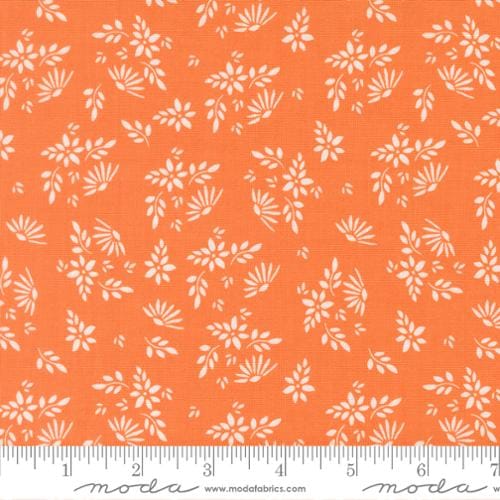 Pumpkin - Birch and Willow 37721-14