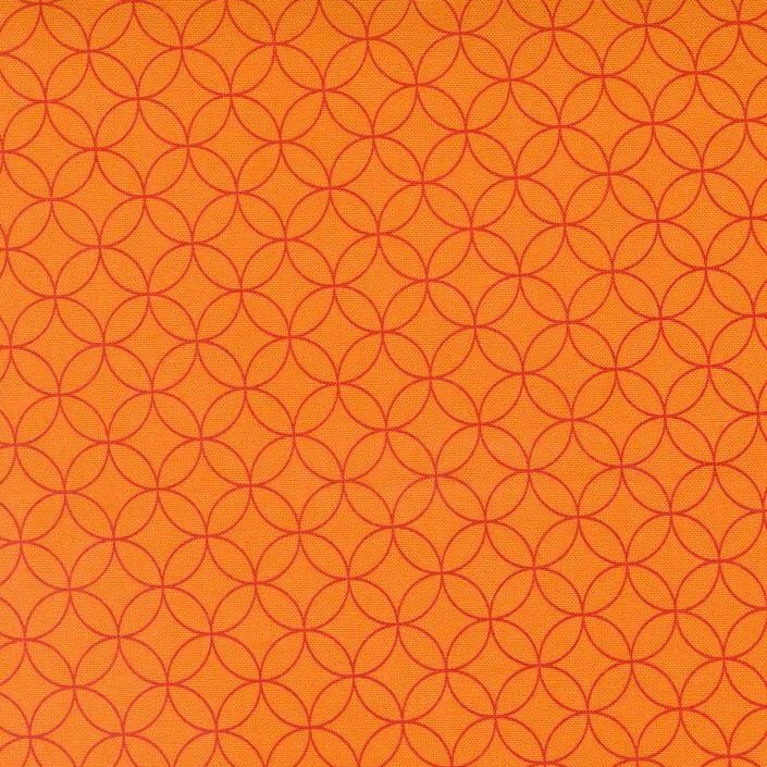 Rainbow Spice - Pumpkin Peels 45042-31