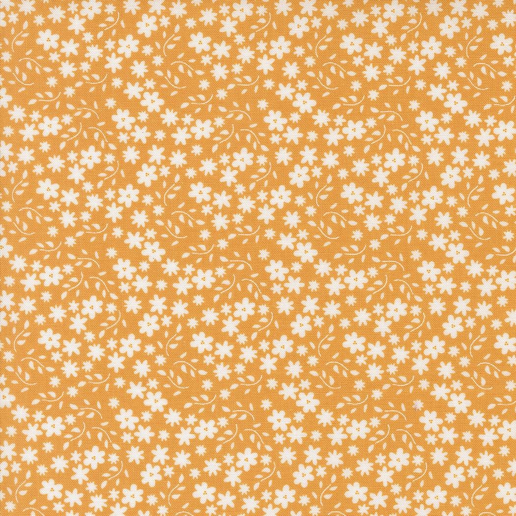Raspberry Summer - Blossom Apricot 37693-14